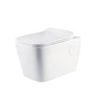 S21 Wall Hung Toilet Seat