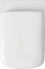 C703 Wall Hung Toilet Seat - Image 2