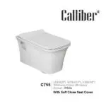 C755 Wall Hung Toilet Seat