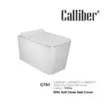 C791 Wall Hung Toilet Seat
