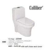 C801 One Piece Toilet Seat