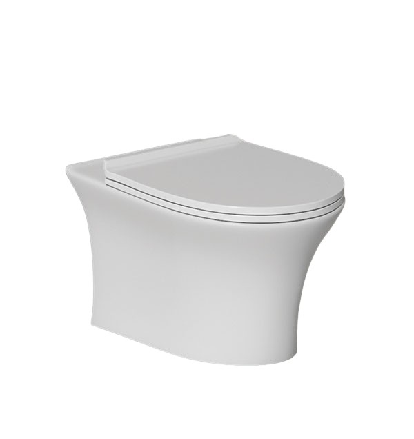 800-Photoroom C800 Back To Wall Ewc Seat - Image 1