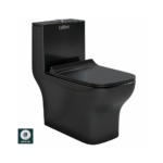 C1003 Black (Glossy) One Piece With Inbult Jet Wash Down Toilet Seat